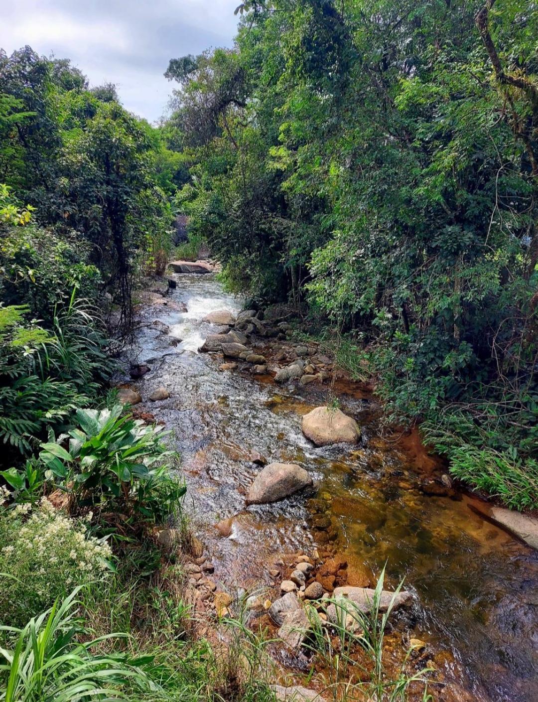 Pousada Sitio Monte Sinai São José do Barreiro Exteriér fotografie