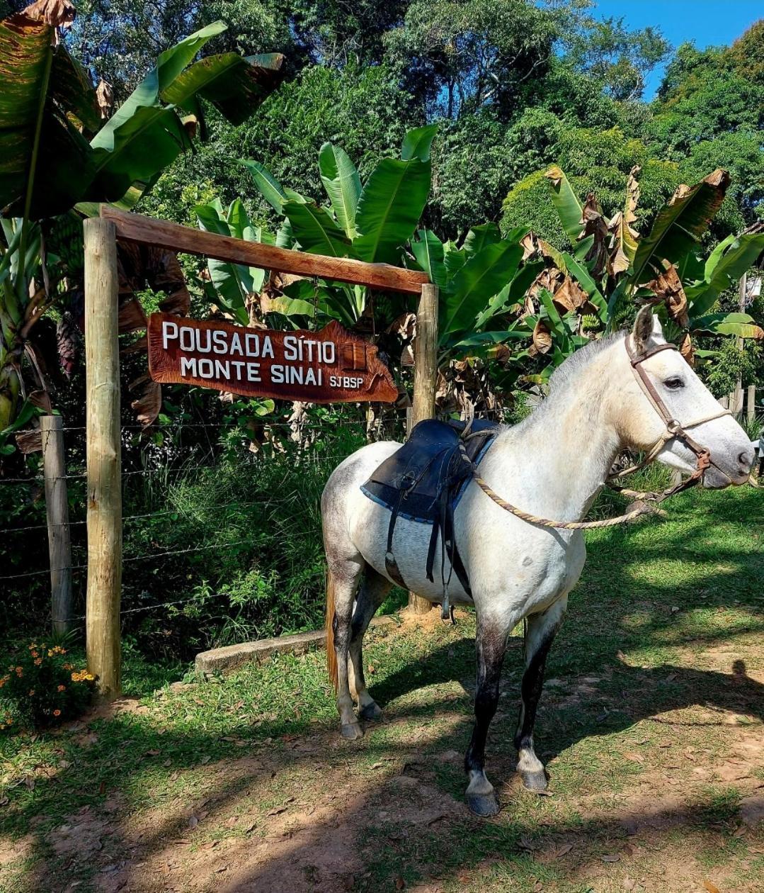 Pousada Sitio Monte Sinai São José do Barreiro Exteriér fotografie