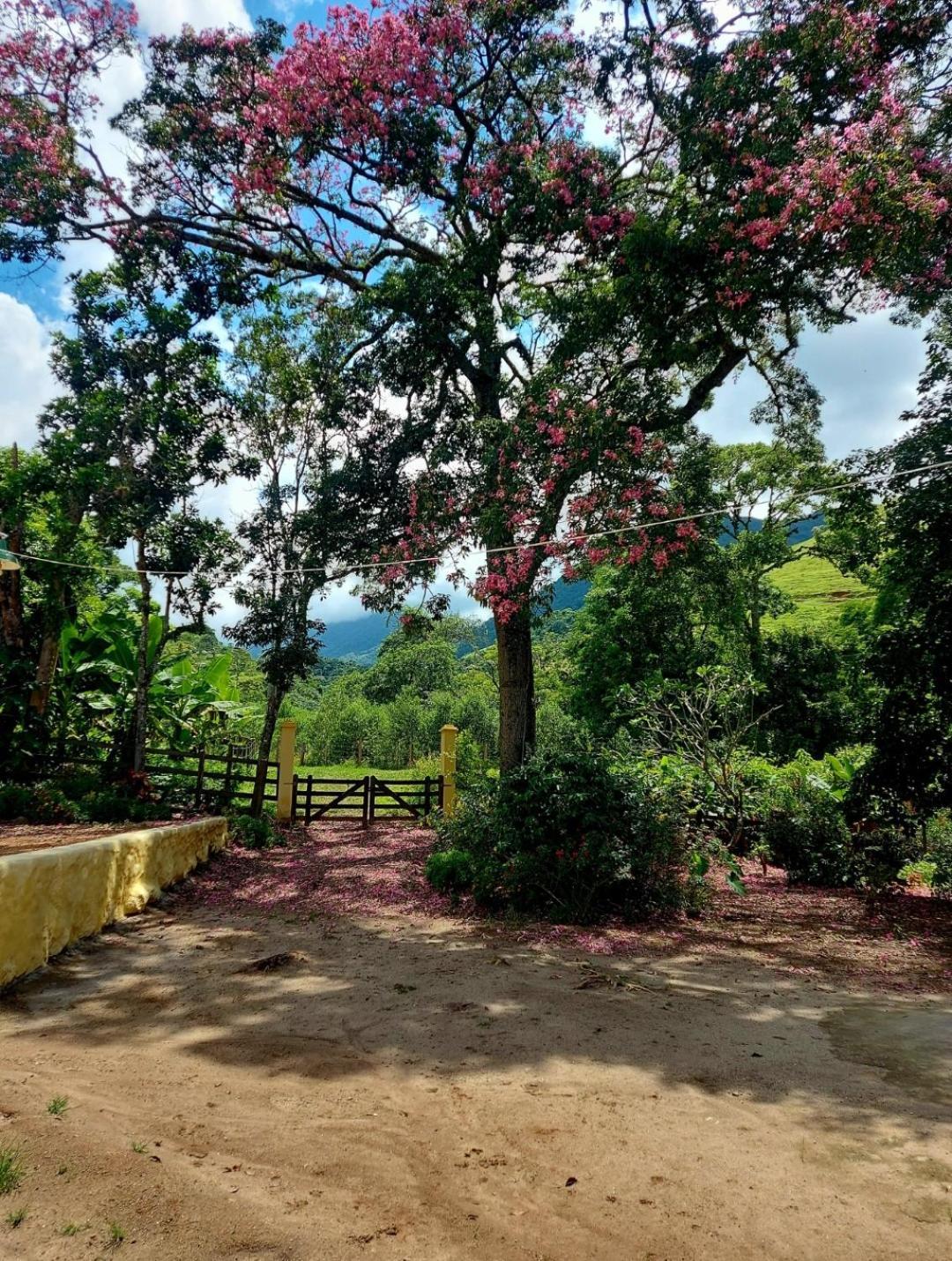 Pousada Sitio Monte Sinai São José do Barreiro Exteriér fotografie